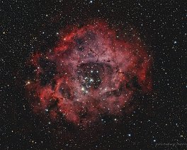Objekt- und Aufnahmedaten   &nbsp; NGC2246   &nbsp; Copyright © Horst Ziegler &nbsp;  &nbsp;  &nbsp;