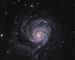 M101