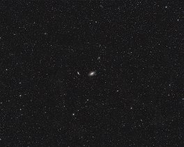 M81       Copyright © Horst Ziegler &nbsp;  &nbsp; Samyang 135 &nbsp; Canon 77Da - CLS CCD &nbsp;  iOptron GRM28