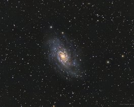 Objekt- und Aufnahmedaten       NGC2403    Copyright © Horst Ziegler       Teleskop:  - Kamera:  - Montierung: