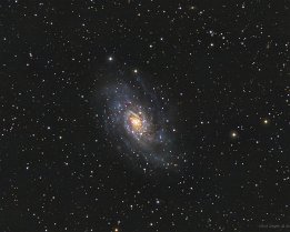 🔎NGC2403