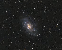 NGC2403