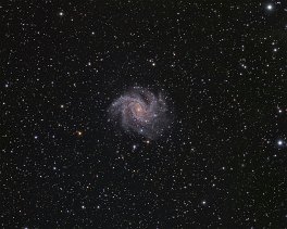 Objekt- und Aufnahmedaten   &nbsp; NGC6946   &nbsp; Copyright © Horst Ziegler &nbsp;  &nbsp;  &nbsp;