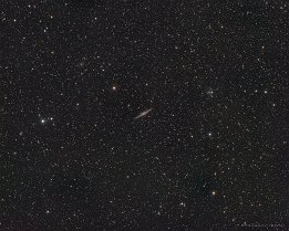 NGC891