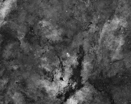 Objekt- und Aufnahmedaten       IC1318    Copyright © Horst Ziegler       Teleskop: Moravian 100/550 - Kamera: Moravian 11000 - Astrodon Ha - Montierung: CGE - OAG Lodestar