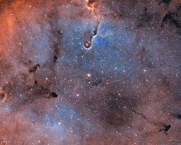 🔎 IC1396
