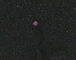 nebel ic5146     IC5146