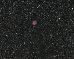 🔎 IC5146