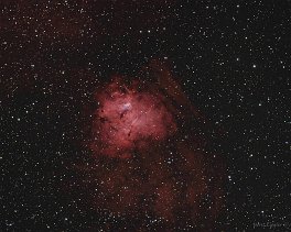 Objekt- und Aufnahmedaten   &nbsp; NGC1491   &nbsp; Copyright © Horst Ziegler &nbsp;  &nbsp;  &nbsp;