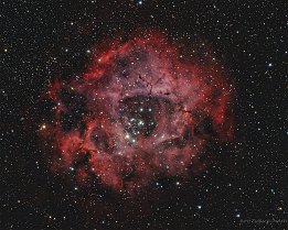 🔎 NGC2246
