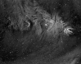 nebel ngc2264ha     NGC2264