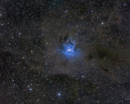 Objekt- und Aufnahmedaten       NGC7023    Copyright © Horst Ziegler       Teleskop:  - Kamera:  - Montierung: