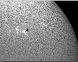 Objekt- und Aufnahmedaten       Sonne mit Filamenten    Copyright © Horst Ziegler       Teleskop:  - Kamera:  - Montierung: