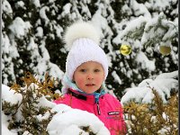 Mondsee, Januar 2016 Der erste Schnee