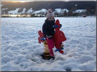 Mondsee, Jan 2014 Am Irrsee im Schnee
